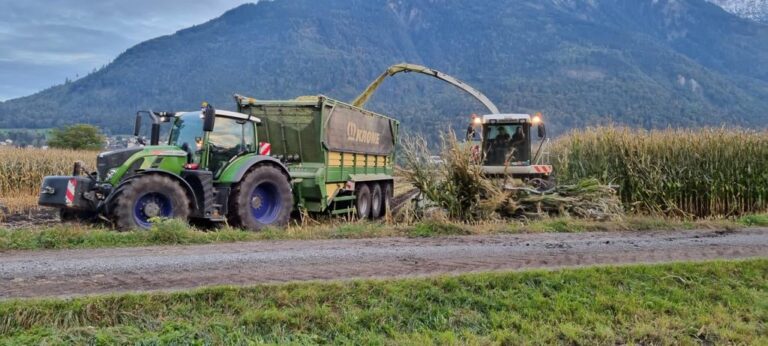 Einladung zum Maistag