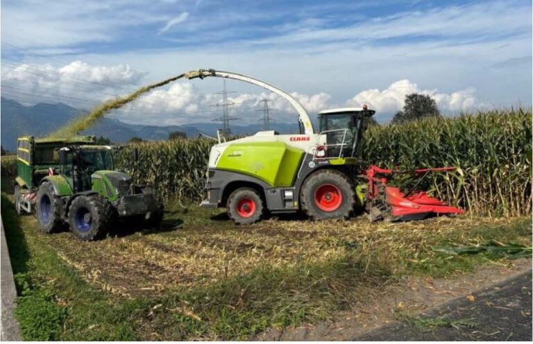 Herbstinfo 2025 rund um Mais und Ernte